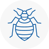 Bed Bug Extermination In Sw19