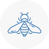 Bee Nest Removal Sw19