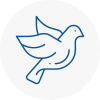 Bird Prevention Sw19