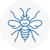 Sw19 Hornet Nest Removals