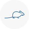 Mice Exterminators In Sw19