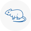 Rat Control Sw19