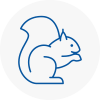 Sw19 Rodent Removals