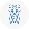 Sw19 Wasp Nest Removal